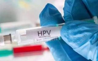 生理期可以打hpv疫苗吗 hpv疫苗生理期之前还是之后打