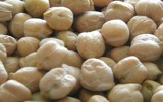鹰嘴豆有什么功效 鹰嘴豆有什么营养