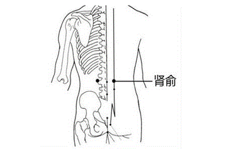 慢性肾炎按摩哪里