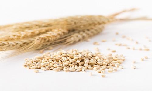 小麦可以做什么小麦怎么做好吃 润疗养生网runliao Com