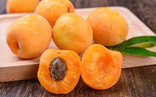 杏子一天吃几个合适 杏子有什么营养价值