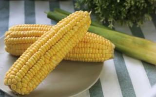 吃玉米可以降血糖吗 玉米怎么吃可以降血糖