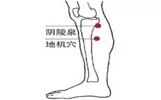 地机的准确位置图视频 地机的作用与好处