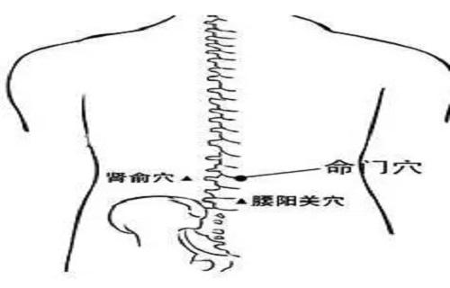 腰阳关的准确位置定位图片