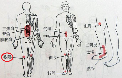 委阳的准确位置图图片