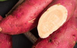 红薯发芽可以吃吗 长芽的红薯含毒吗