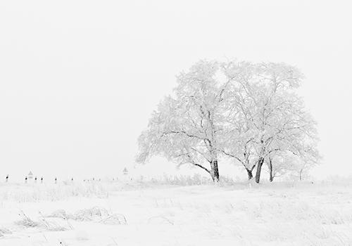 大雪