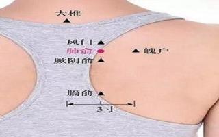 肺俞针刺手法 针刺肺俞的准确位置图