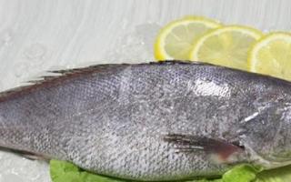 米鱼的功效与作用 米鱼的营养价值