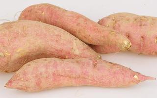 红薯发芽能吃吗有毒吗 红薯发芽能种红薯吗