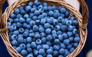 蓝莓上面的白霜是什么 蓝莓上面的白霜是可以吃吗