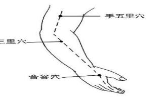 手三里针刺感受 手三里针刺方法