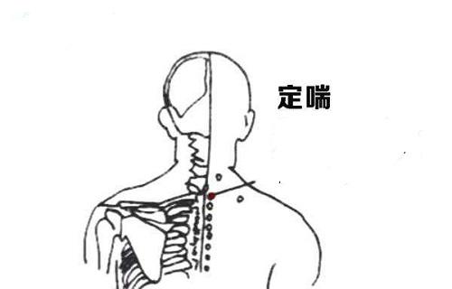 定喘的准确位置图图图片