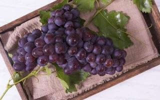 哺乳期可以吃葡萄吗 吃了葡萄能马上喝水吗
