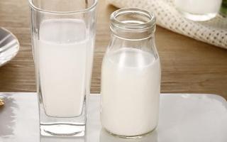 牛奶和大枣能一起吃吗 牛奶加大枣吃了会胖吗