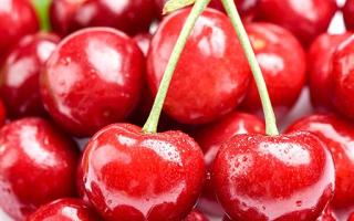 樱桃怎么吃 樱桃的籽能吃吗