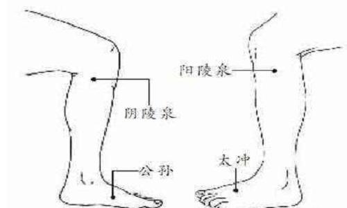 按摩阳陵泉的功效