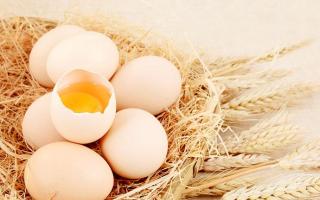 莲蓬煲鸡蛋有什么功效 莲蓬煮鸡蛋的功效与作用