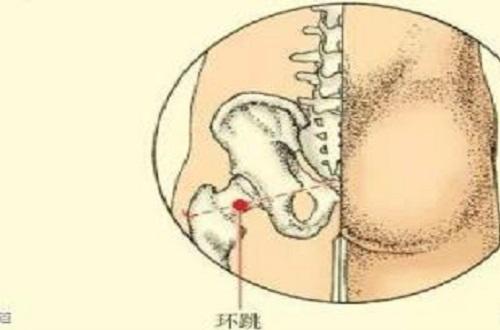 环跳的简便定位