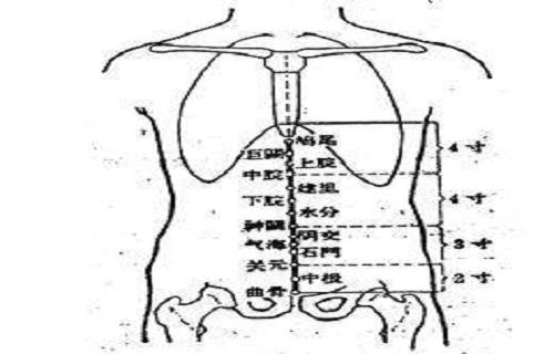 女人曲骨的准确位置图图片