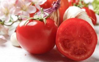 减肥晚上可以吃西红柿吗 晚上吃西红柿减肥吗