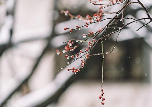 雨水