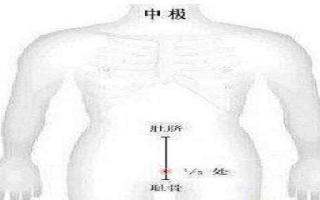 中极针刺方法和禁忌 针刺中极时宜选体位