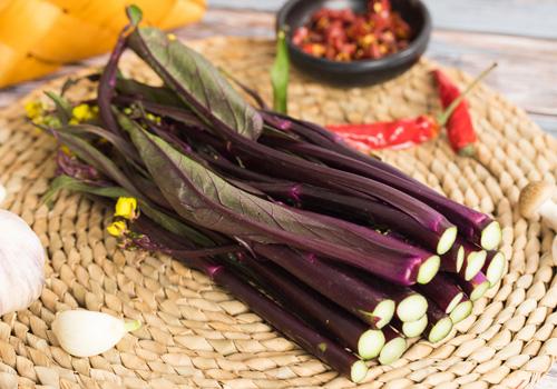 怎样吃红菜苔不苦白菜苔与红菜苔的区别 润疗养生网runliao Com