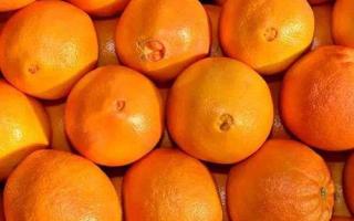 小儿咳嗽能吃橙子吗 小孩吃橙子有什么好处