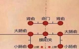 肾俞针刺多深 针刺肾俞注意事项