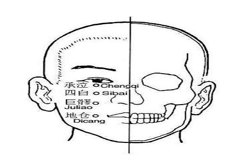 巨髎