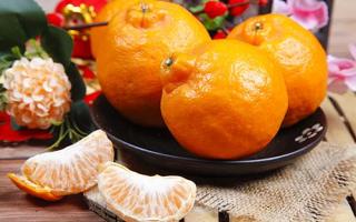 橙子皮吃了对身体有什么好处 橙子能放多久