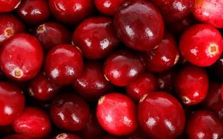 蔓越莓不能和什么一起吃 蔓越莓能治疗妇科疾病吗