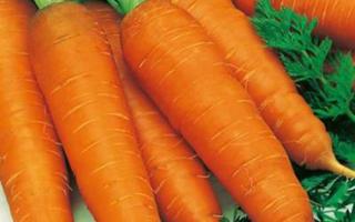 人吃胡萝卜有什么好处 胡萝卜的适用人群与禁忌人群