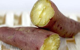 红薯对胃有好处吗 红薯有什么营养成分