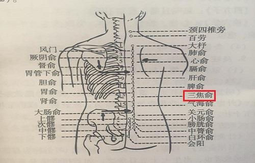 三焦俞