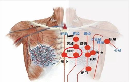 女人神封的准确位置图图片