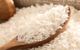 夏天怎样才能防止大米生虫呢 夏天大米生虫能吃吗