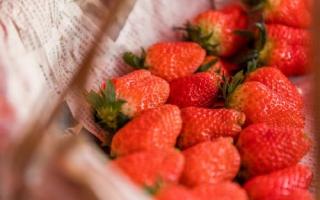 草莓和芒果可以一起吃吗 吃完草莓可以吃芒果吗