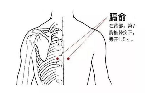 膈俞