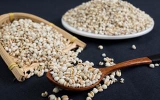 每天吃薏米能减肥吗 薏米的营养价值