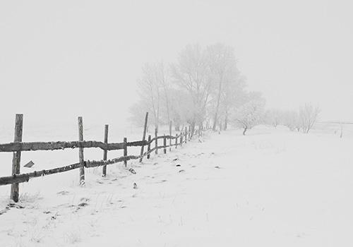 大雪