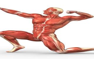 腹部抽筋怎么缓解 腹部肌肉抽搐的原因