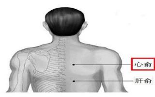 心俞的位置和功效 心俞位置疼是怎么回事