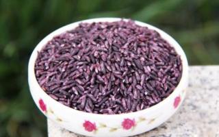紫米最好的搭配 紫米是糯米吗