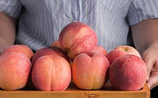 水蜜桃可以放冰箱吗 水蜜桃保质期多久