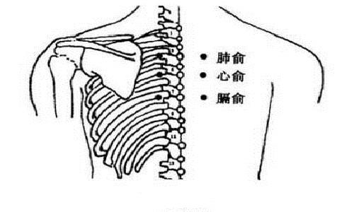 心悸按摩哪个位置
