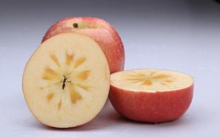 苹果切开过夜还能吃吗 切开的苹果如何保存