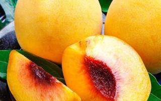 黄桃为什么那么贵 黄桃价格是多少钱一斤