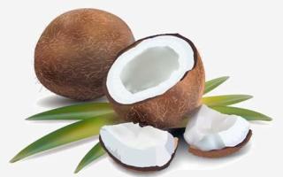 椰子有什么营养价值 椰子吃了有什么功效